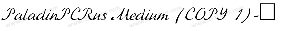 PaladinPCRus Medium (COPY 1)字体转换